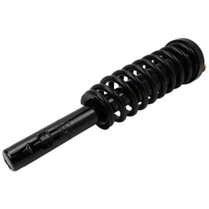 Moog Strut and Coil Spring Assembly