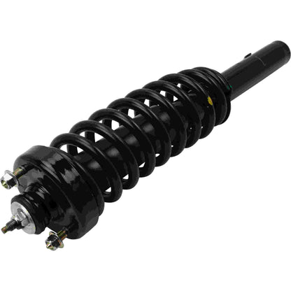 Moog Strut and Coil Spring Assembly
