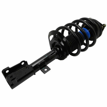 Moog Strut and Coil Spring Assembly