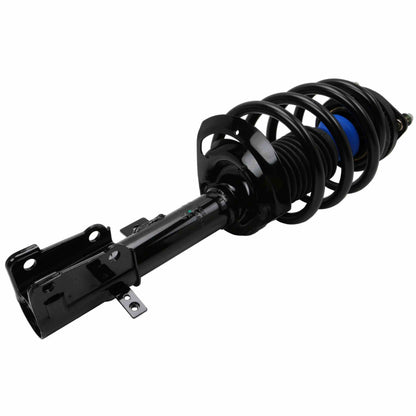 Moog Strut and Coil Spring Assembly