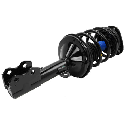 Moog Strut and Coil Spring Assembly