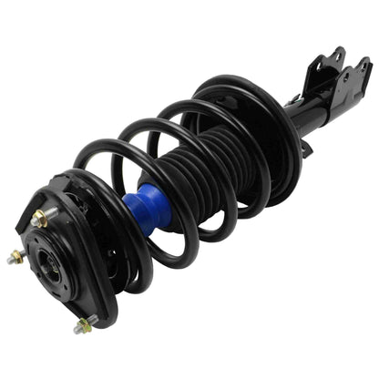 Moog Strut and Coil Spring Assembly
