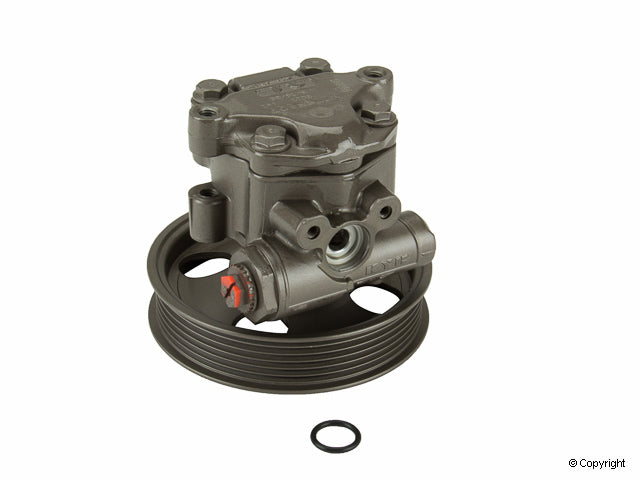Maval Power Steering Pump