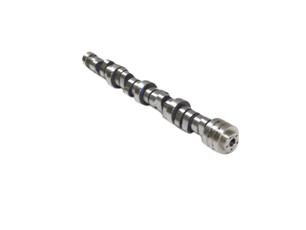Mopar Performance 5038419AB