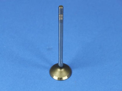 MOPAR Engine Exhaust Valve 53021916AB main image