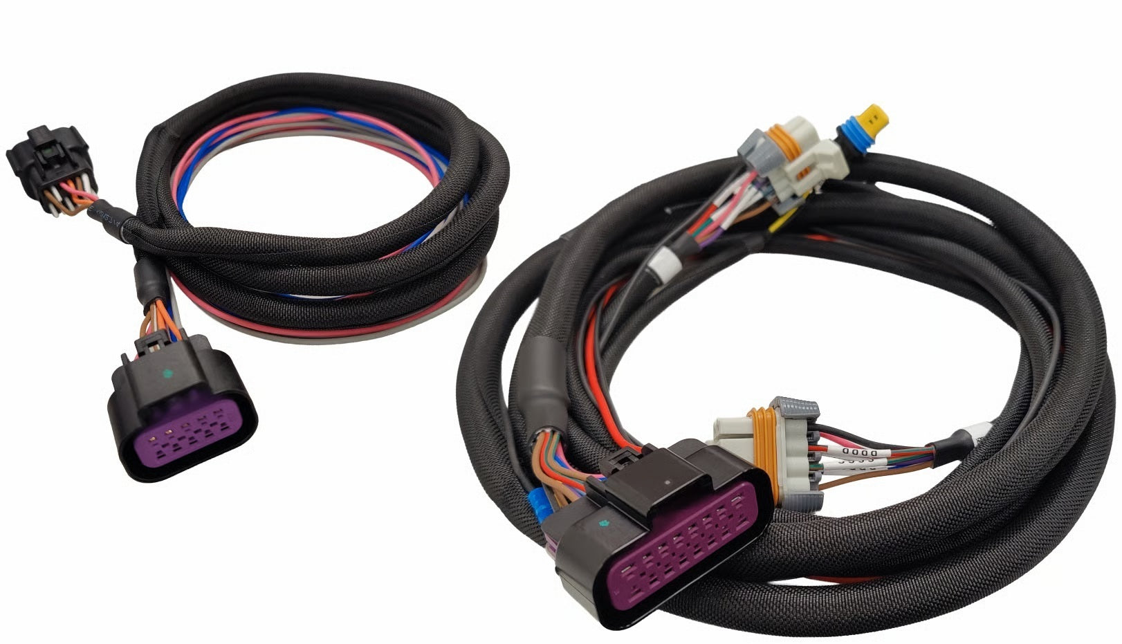 MSD IGNITION Harness - LS Ignition Control Box Ignitions and Electrical Wiring Harnesses main image