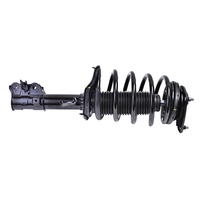 Mando Suspension Strut and Coil Spring Assembly MSS050036