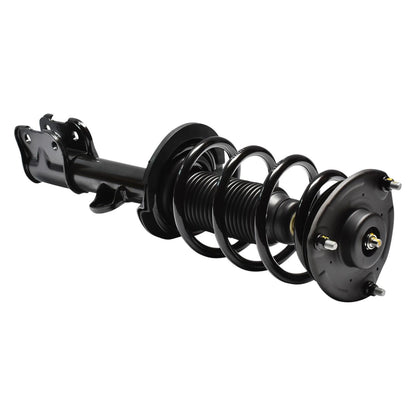 Mando Suspension Strut and Coil Spring Assembly MSS050059