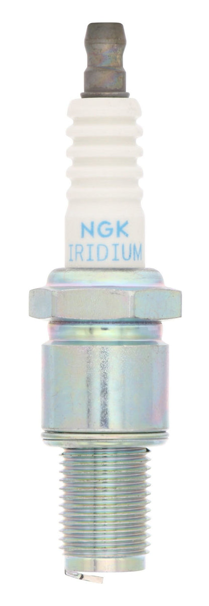 NGK Racing Spark Plug Box of 4 (R7440A-10L) 4282