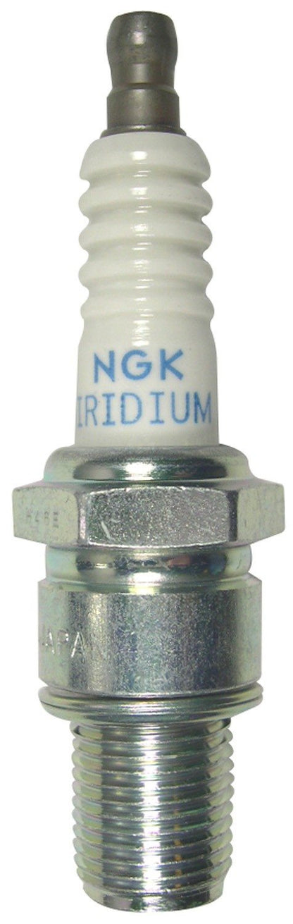 NGK Racing Spark Plug Box of 4 (R7376-8) 5442