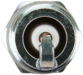 NGK Spark Plug