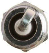 NGK Spark Plug