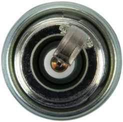 NGK Spark Plug