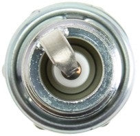 NGK Spark Plug