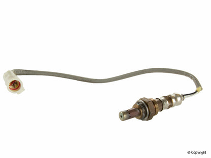 NTK Oxygen Sensor
