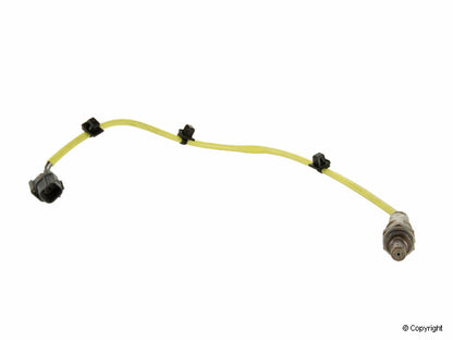 NTK Oxygen Sensor