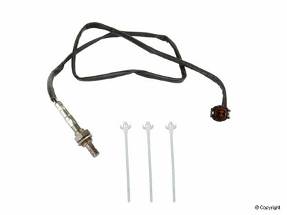 NTK Oxygen Sensor