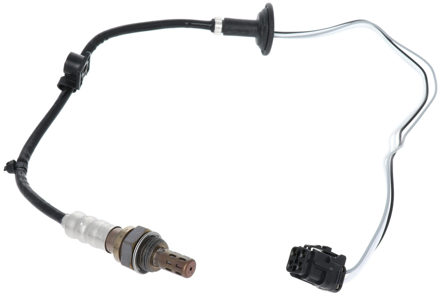 NGK 25259 main image