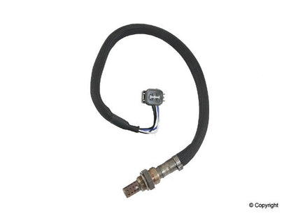 NTK Oxygen Sensor