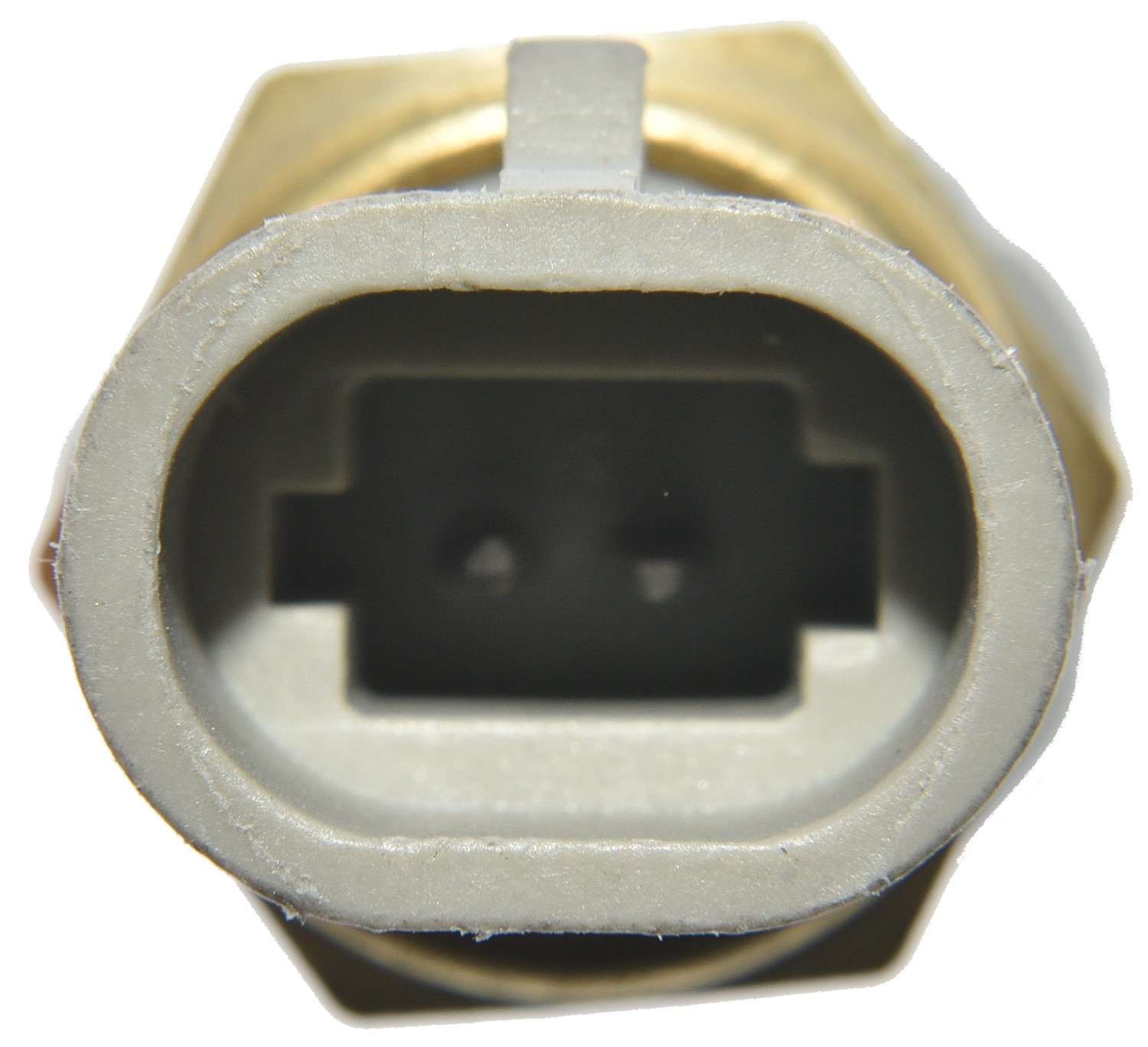 Walker Products Walker Products 210-1001 Air Charge Temperature Sensor 210-1001