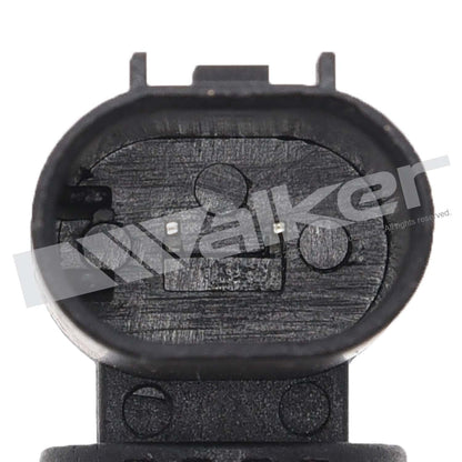 Walker Products Walker Products 211-91036 Engine Coolant Temperature Sensor - Full Service Kit 211-91036