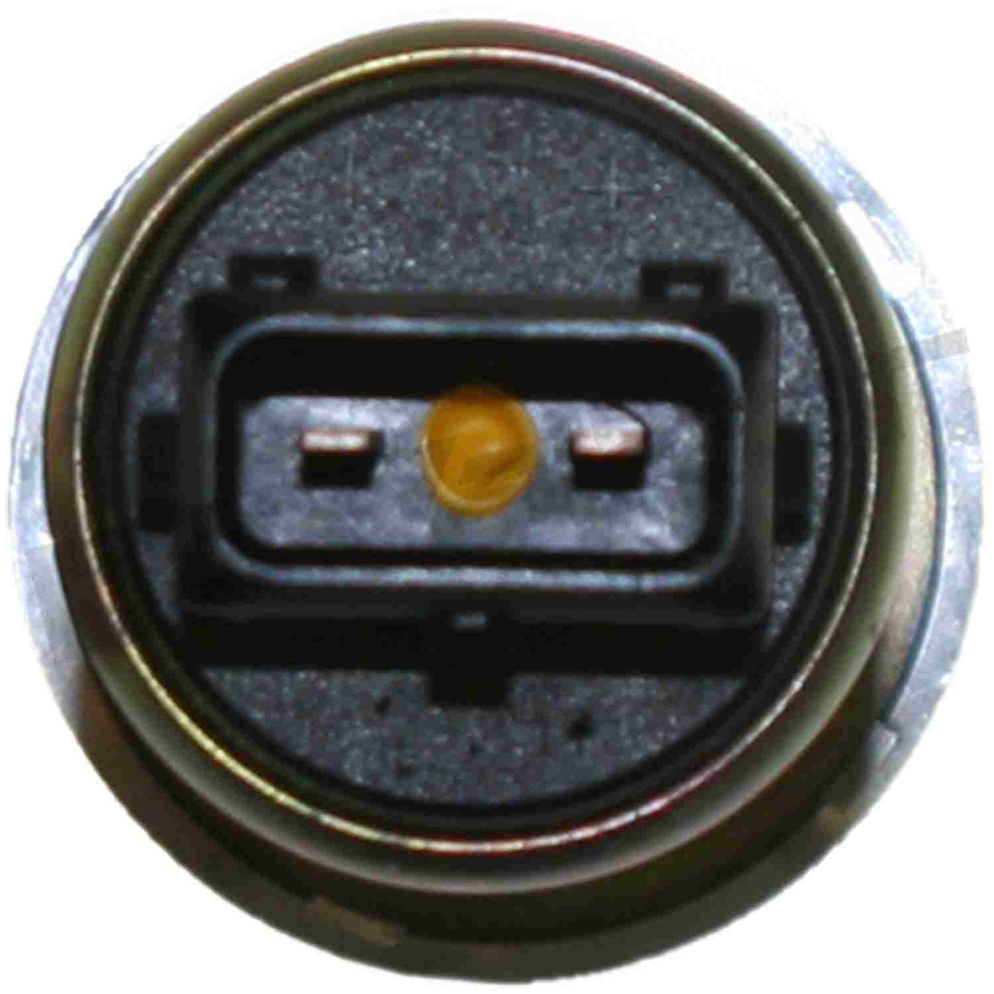 Walker Products Walker Products 215-1060 Fuel Injection Idle Air Control Valve 215-1060