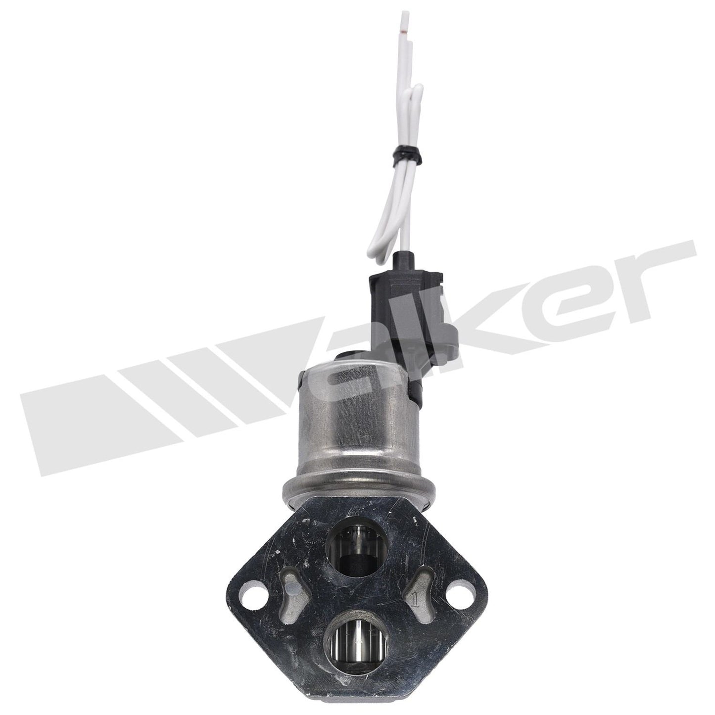 Walker 21592062