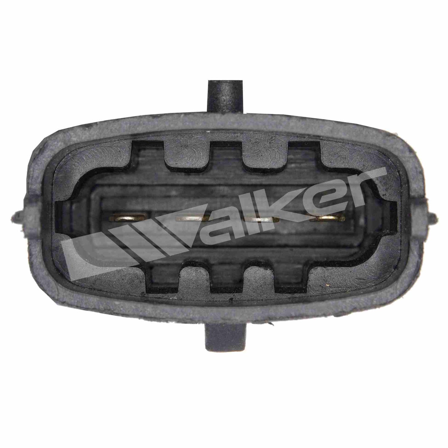Walker 2251086