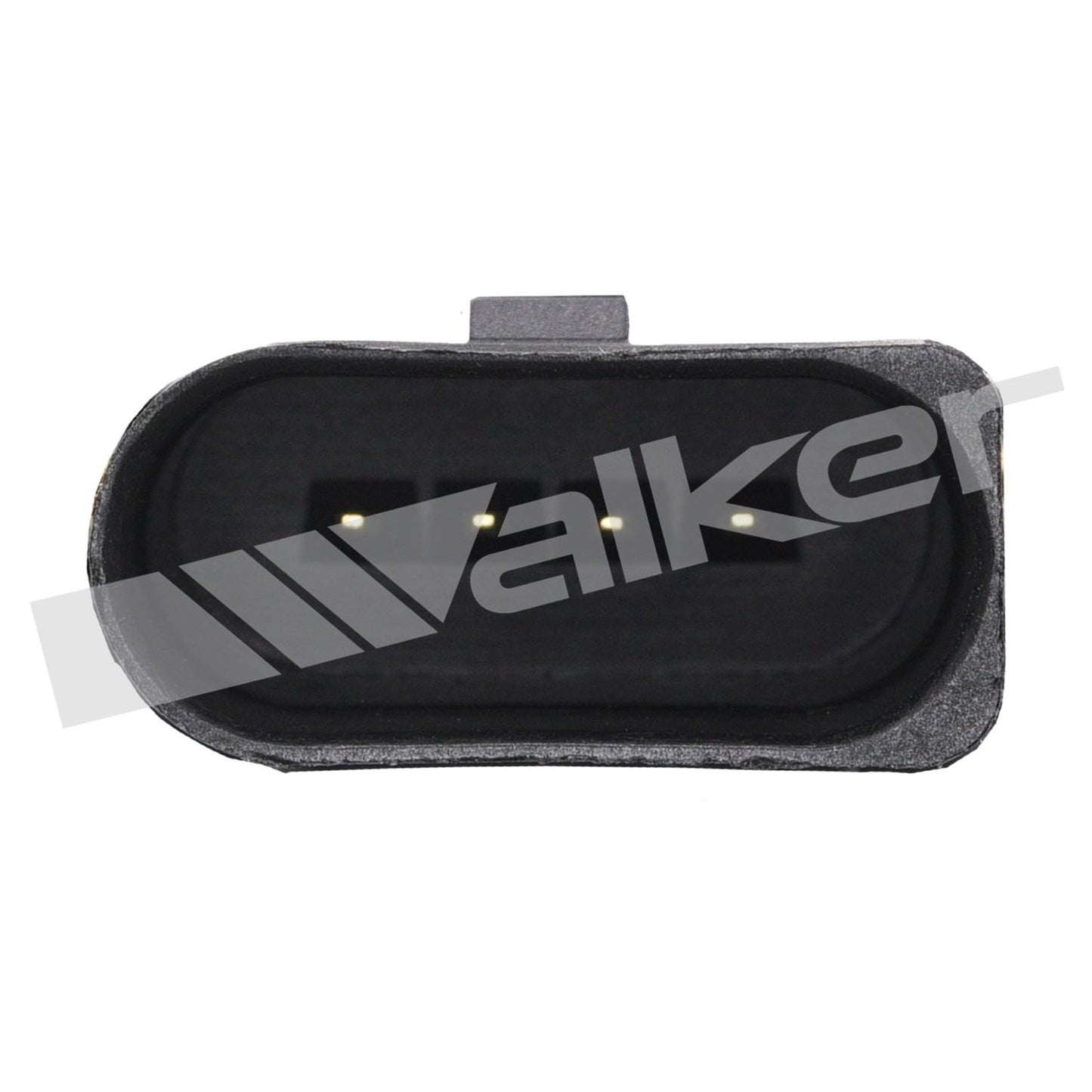 Walker 2251213
