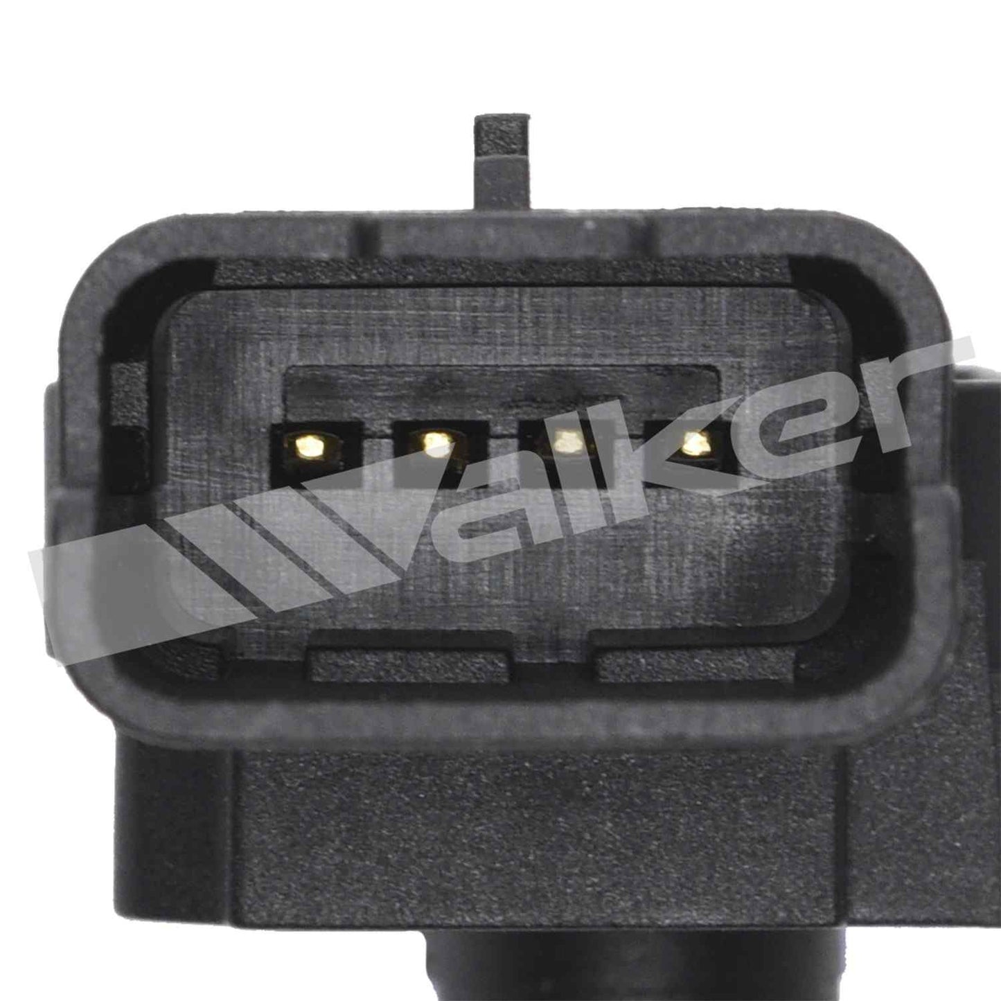 Walker 2251239