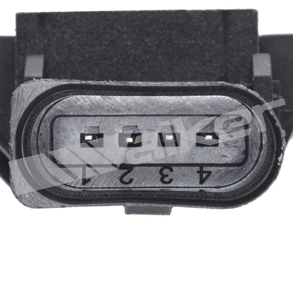 Walker 2251256