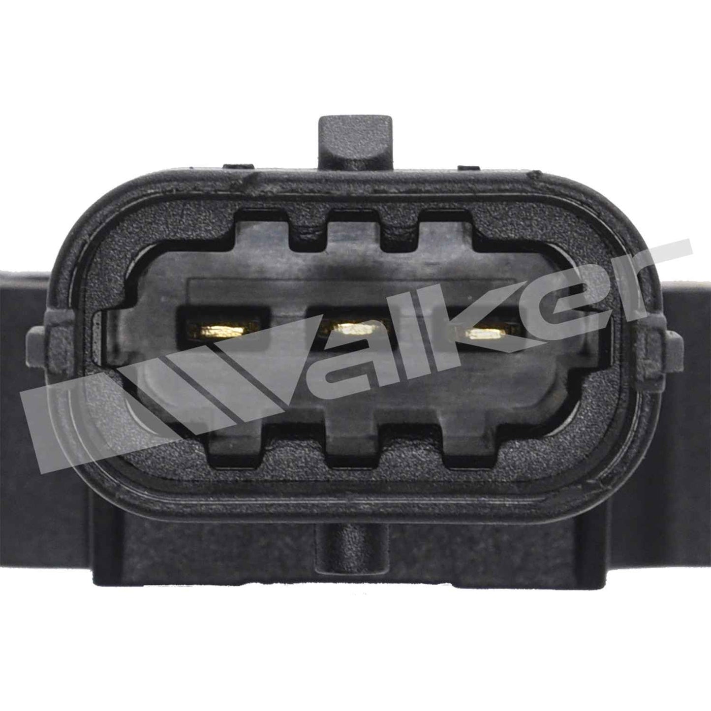 Walker 2251263