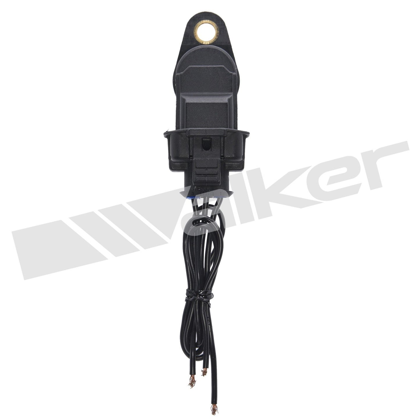 Walker 23591041