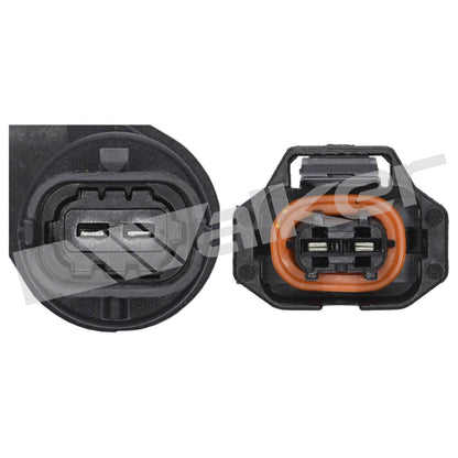 Walker 23591044