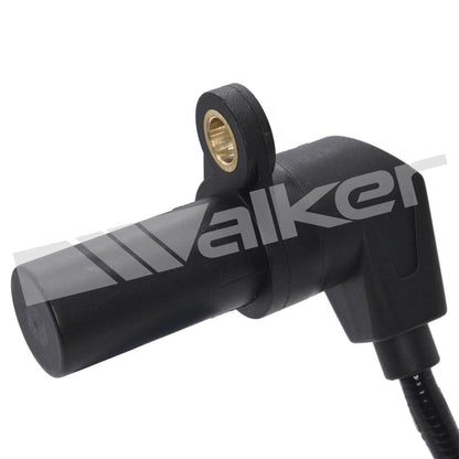 Walker 23591079