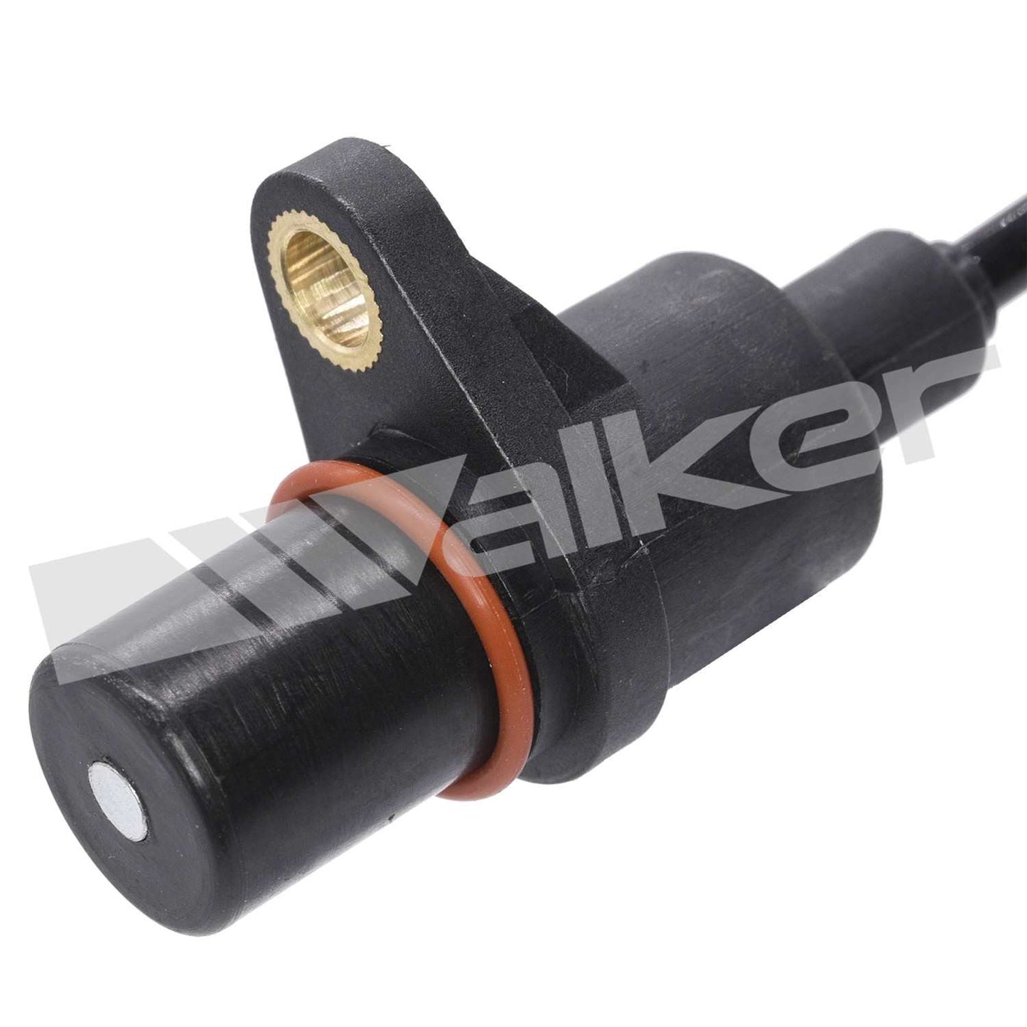 Walker 23591181