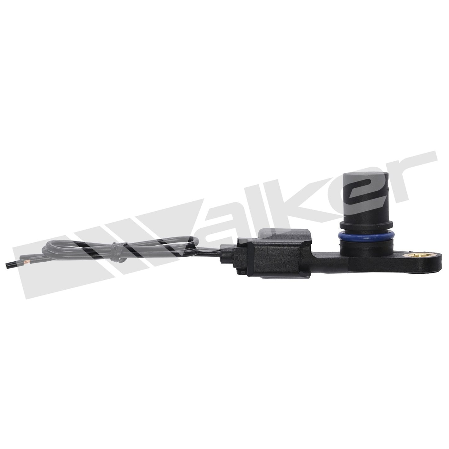 Walker 23591296