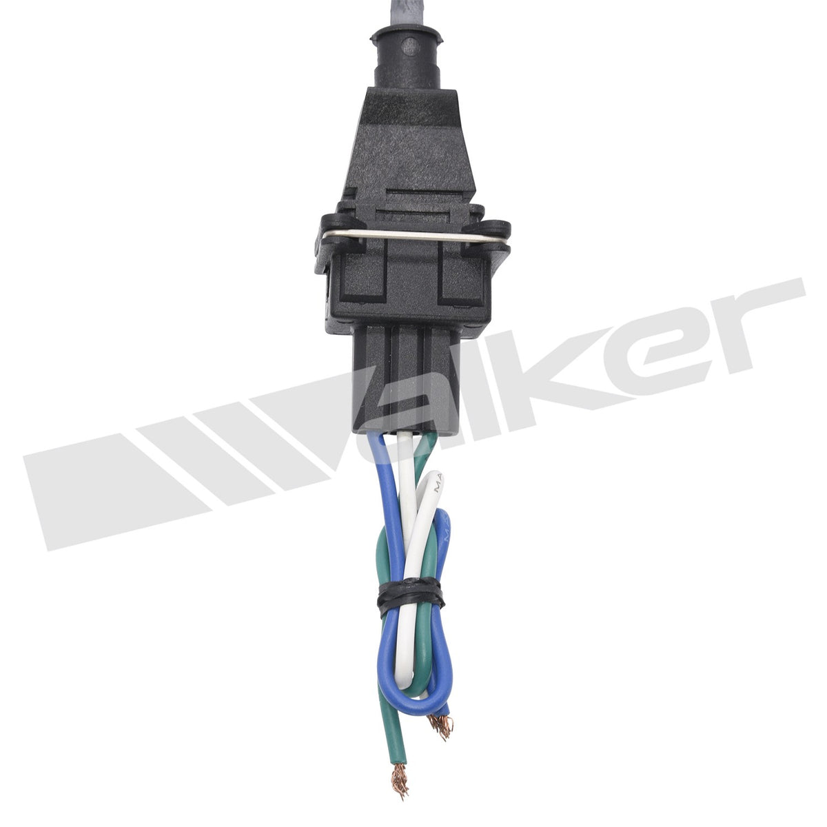 Walker 23591779