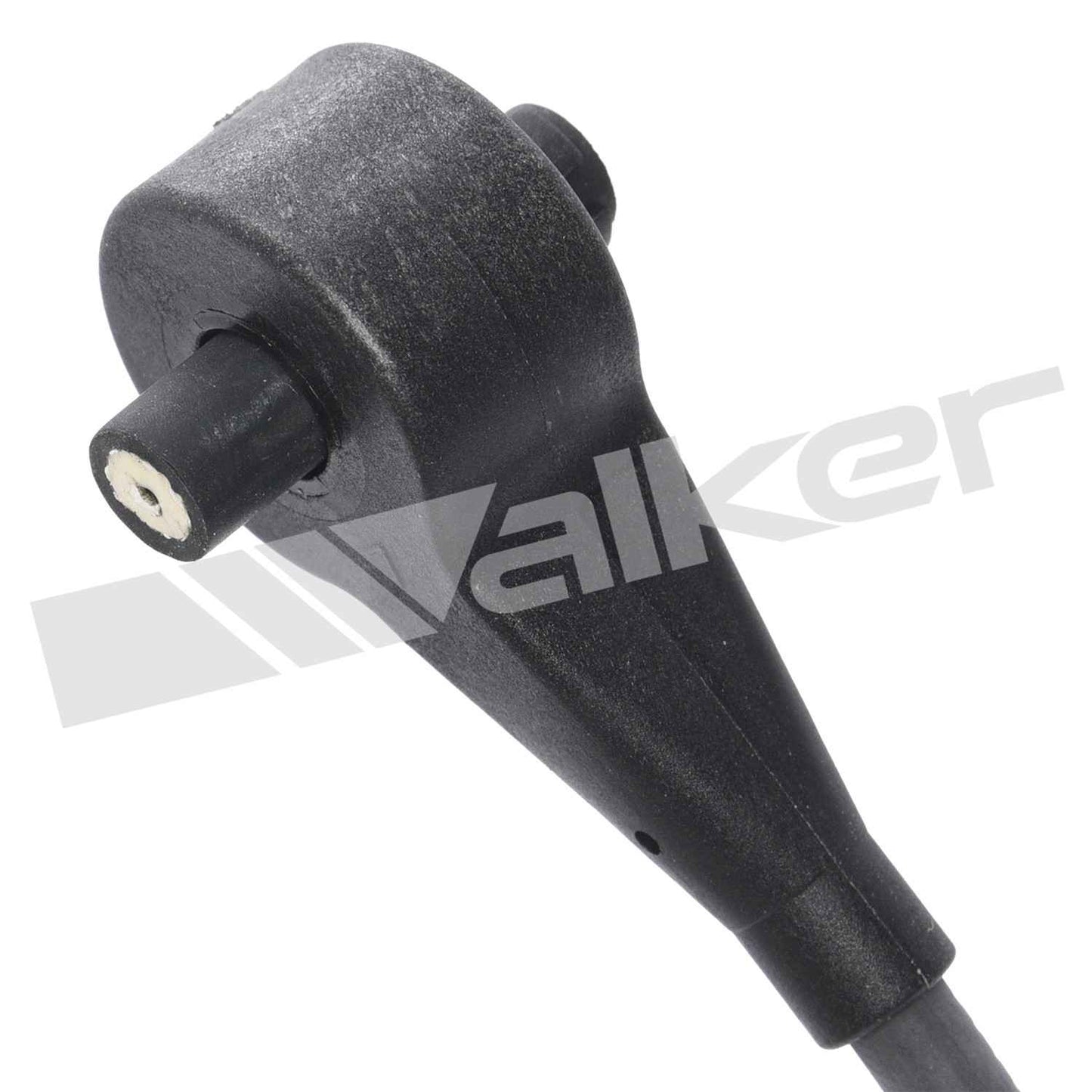 Walker 23591779