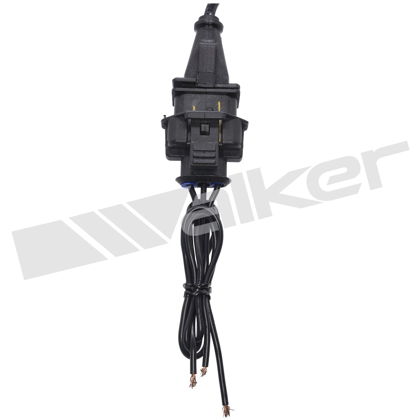 Walker 23591909
