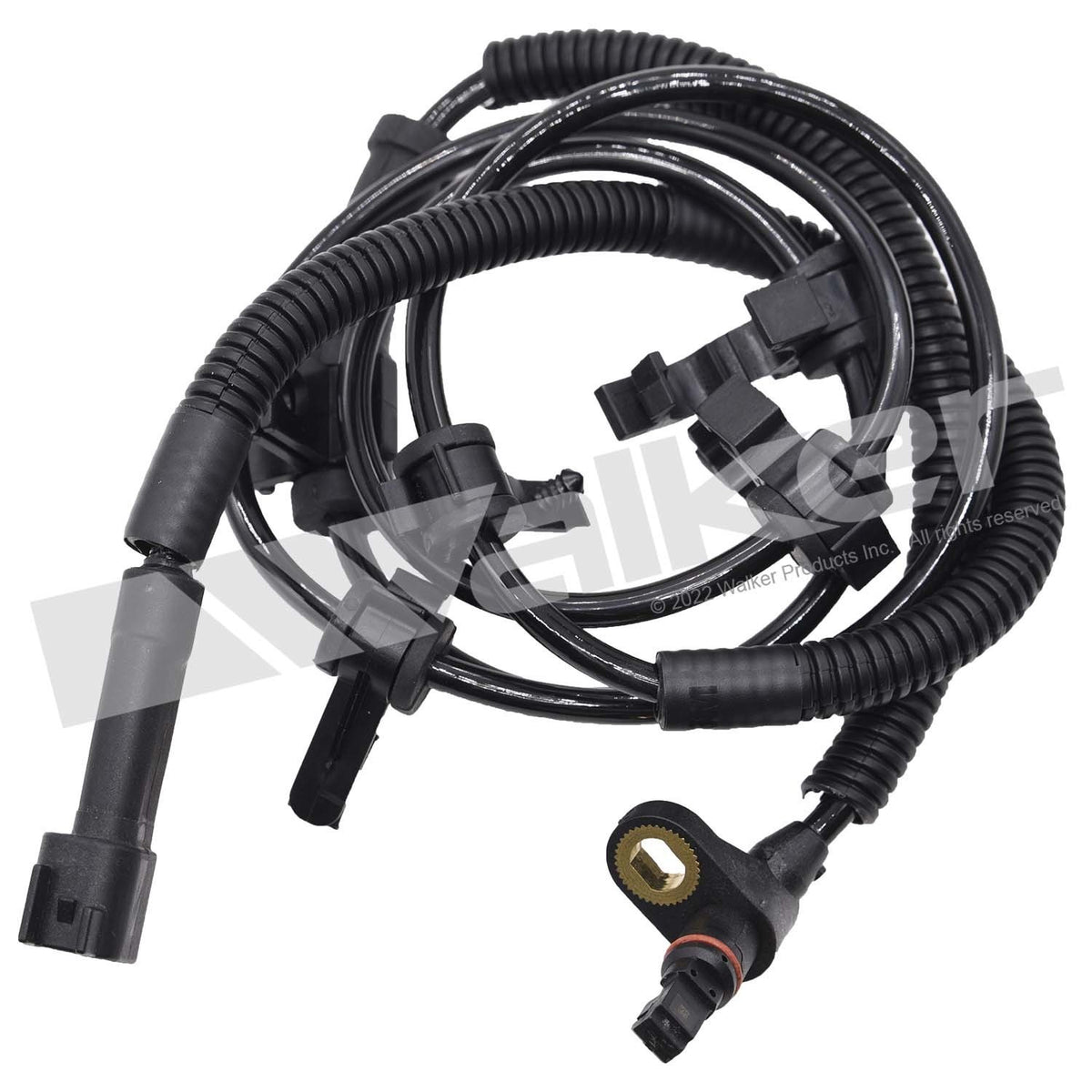 Walker Products Walker Products 241-1079 ABS Wheel Speed Sensor 241-1079