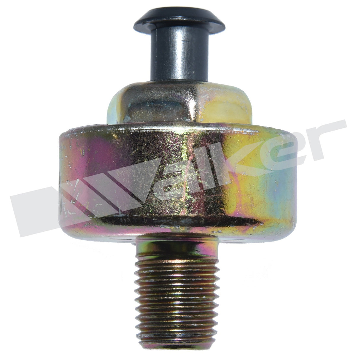 Walker Products Walker Products 242-1031 Ignition Knock (Detonation) Sensor 242-1031
