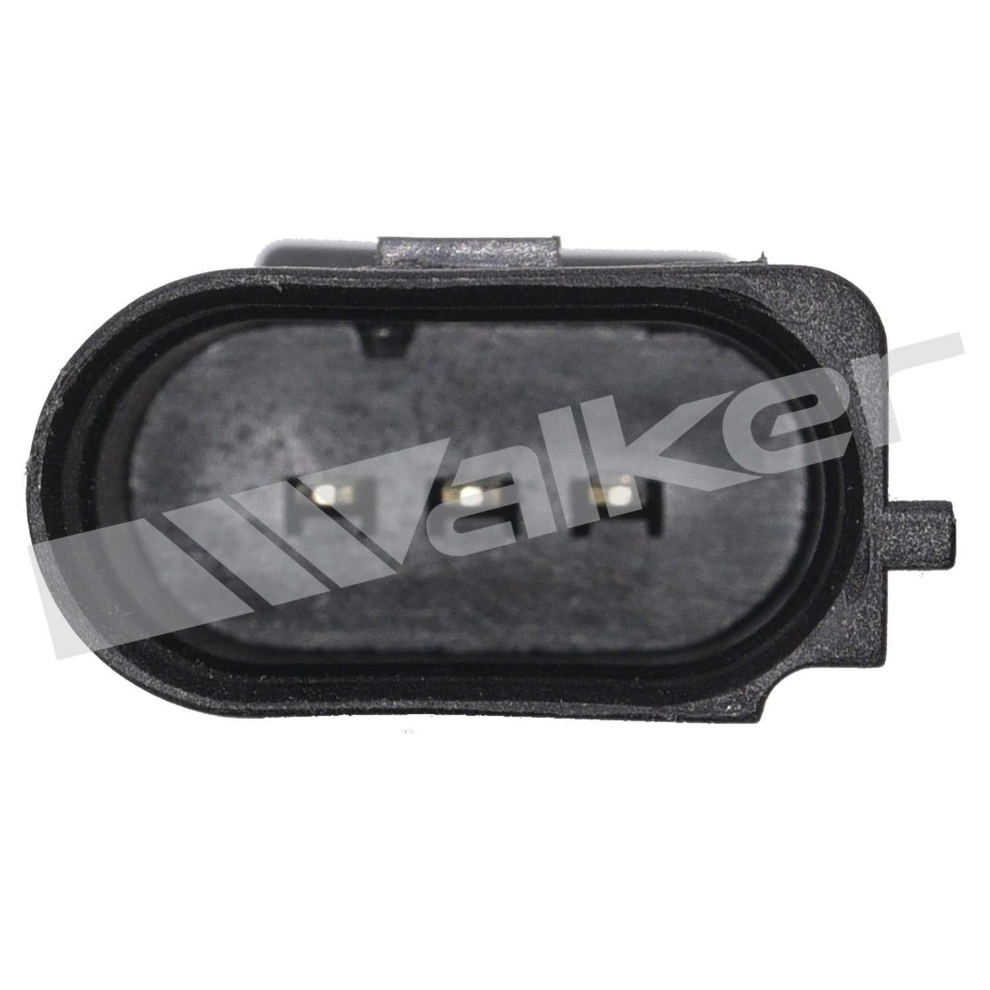 Walker 2421153