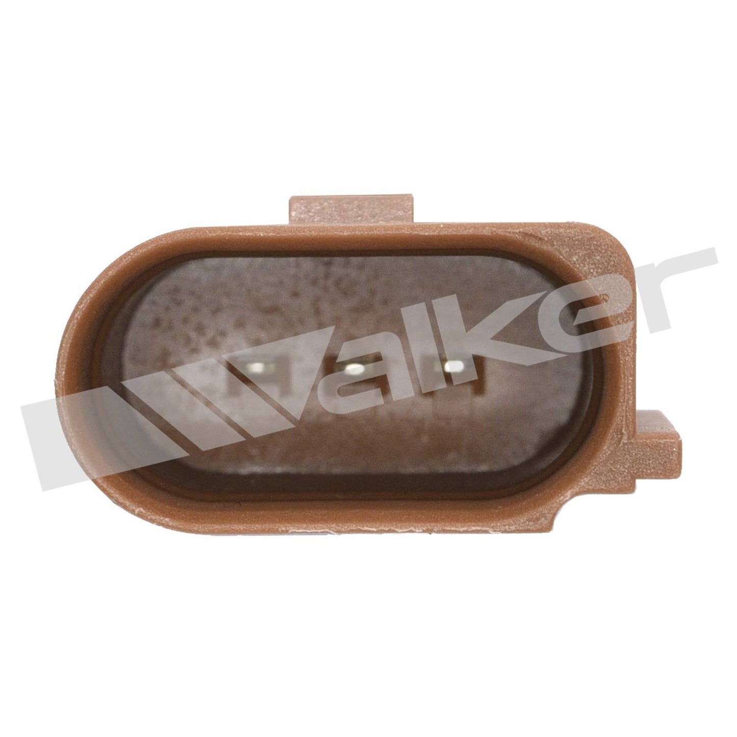 Walker 2421154