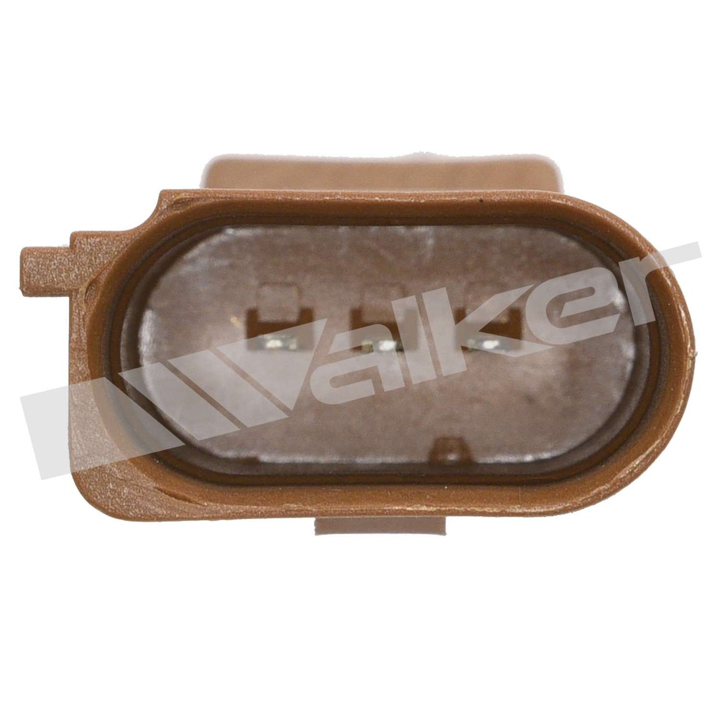Walker 2421155