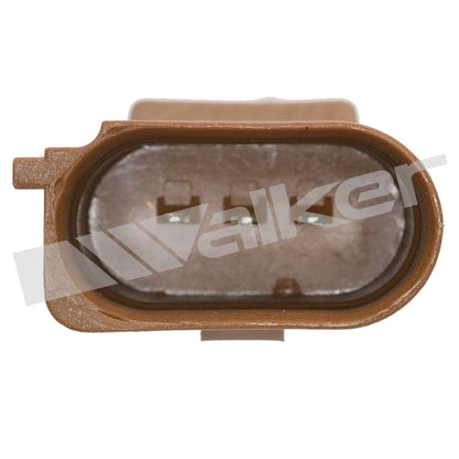 Walker Products 2421155