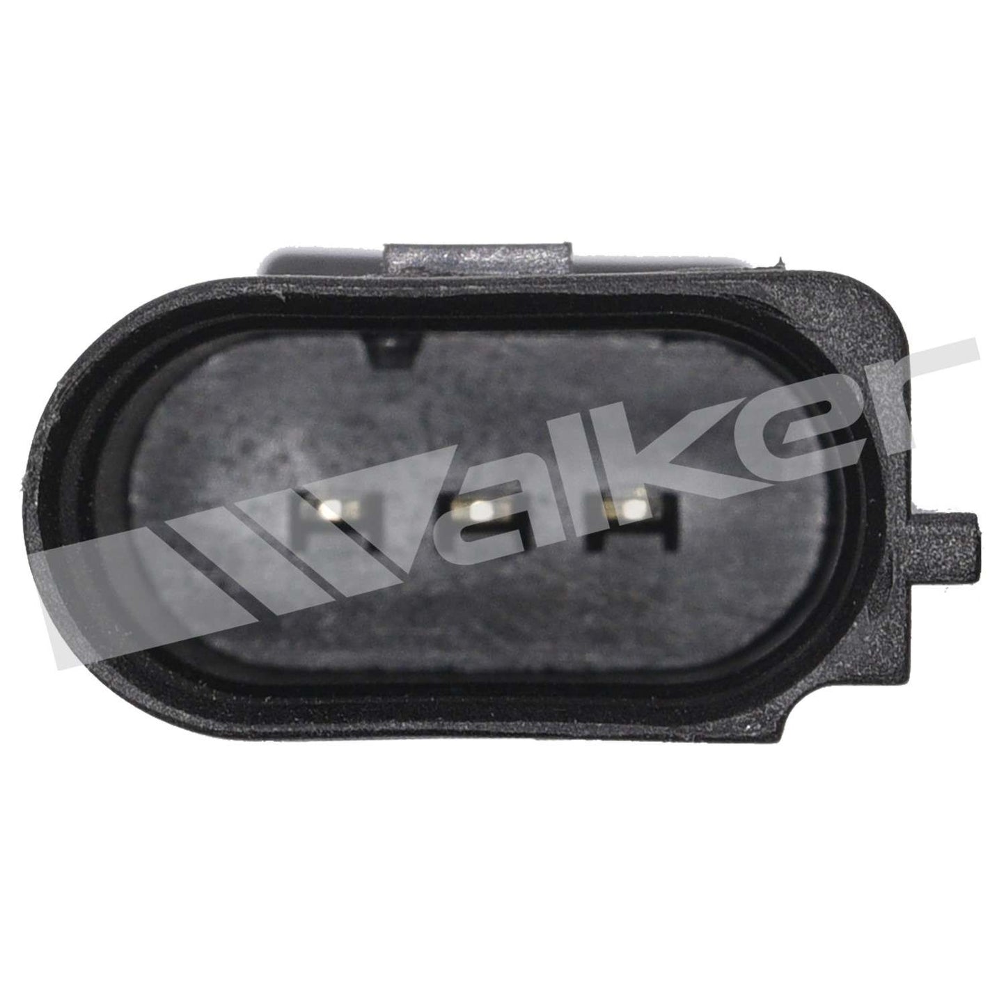 Walker 2421157