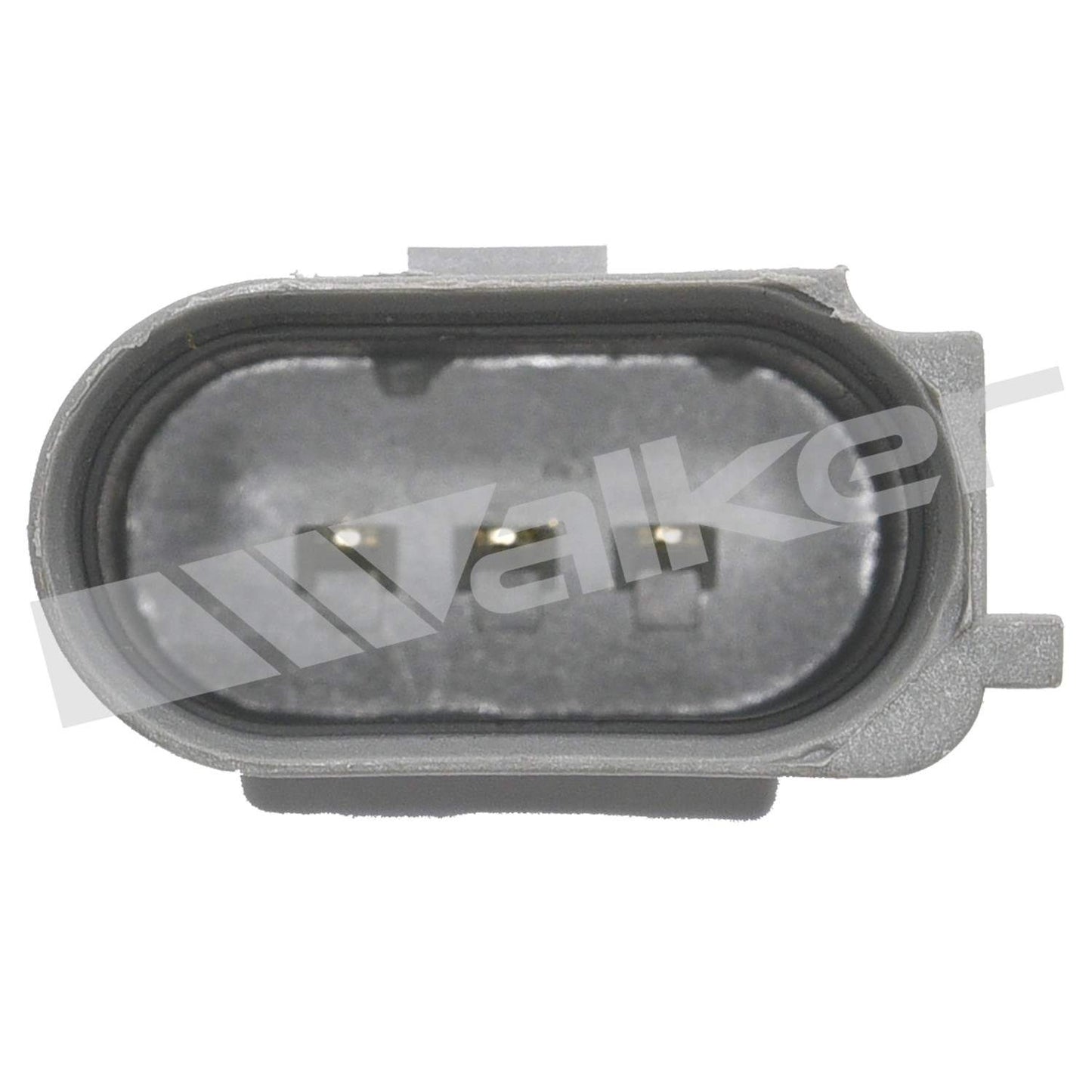 Walker 2421164