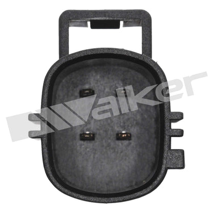 Walker 2421173
