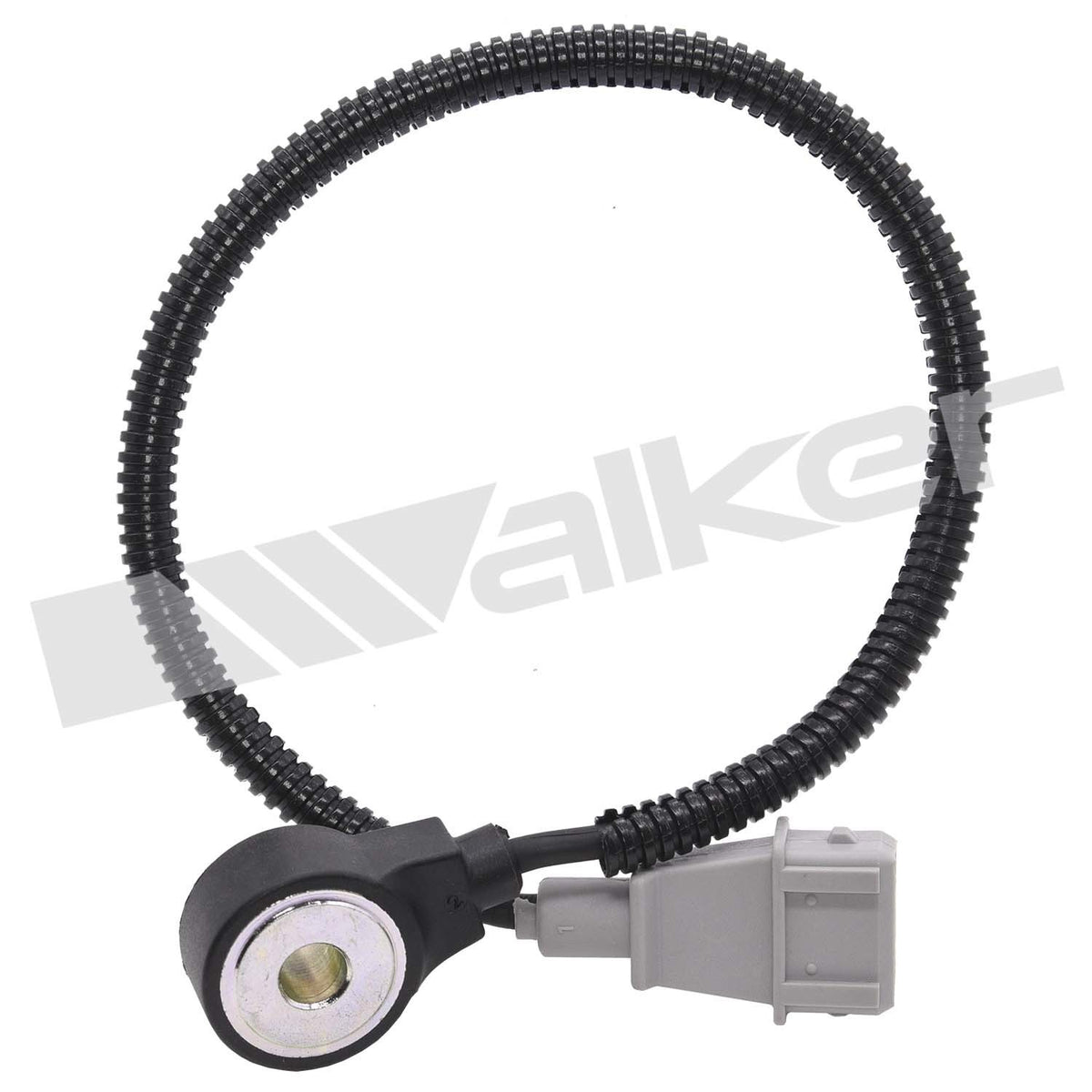 Walker 2421181